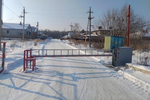    Фото: Администрация города Ульяновска