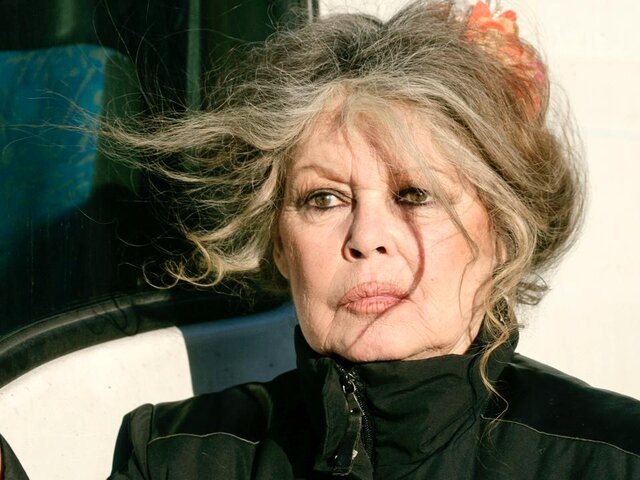    Фото: ТАСС/ABACAPRESS