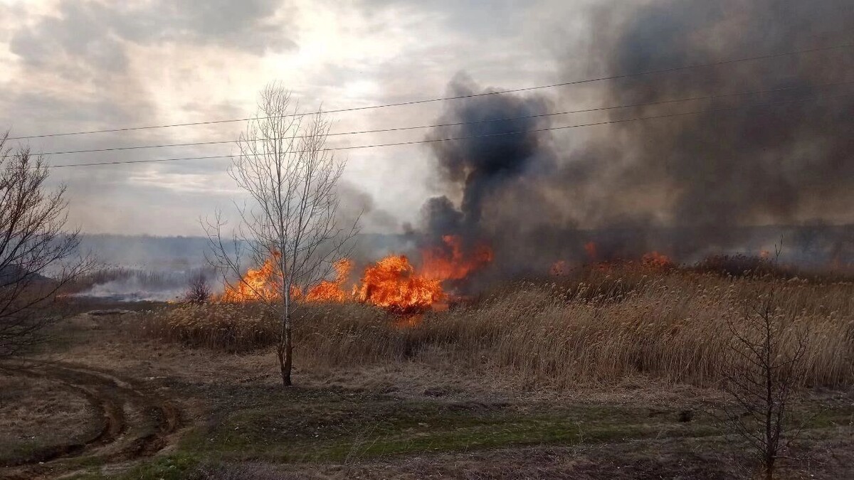     Источник: 1MI