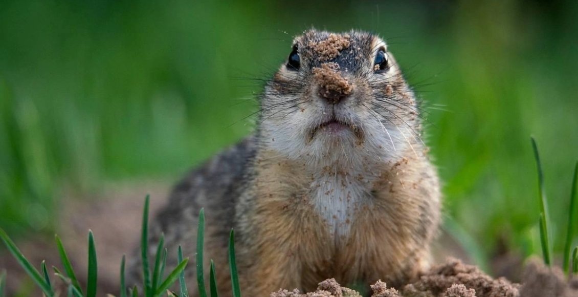    Фото: Игорь Шпиленок / Минприроды