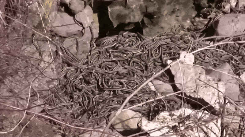 Нравится Формат? Поддержи Канал Лайком и напиши какой эпизод понравился больше всех
