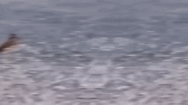 Нравится Формат? Поддержи Канал Лайком и напиши какой эпизод понравился больше всех
