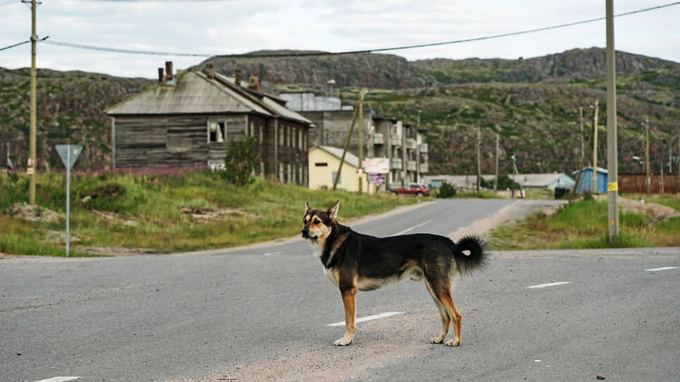Фото: Пелагия Тихонова / Коммерсантъ