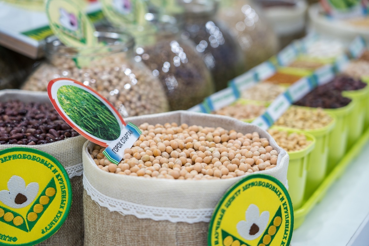 Фото: Александр Плонский / «Агроэксперт»