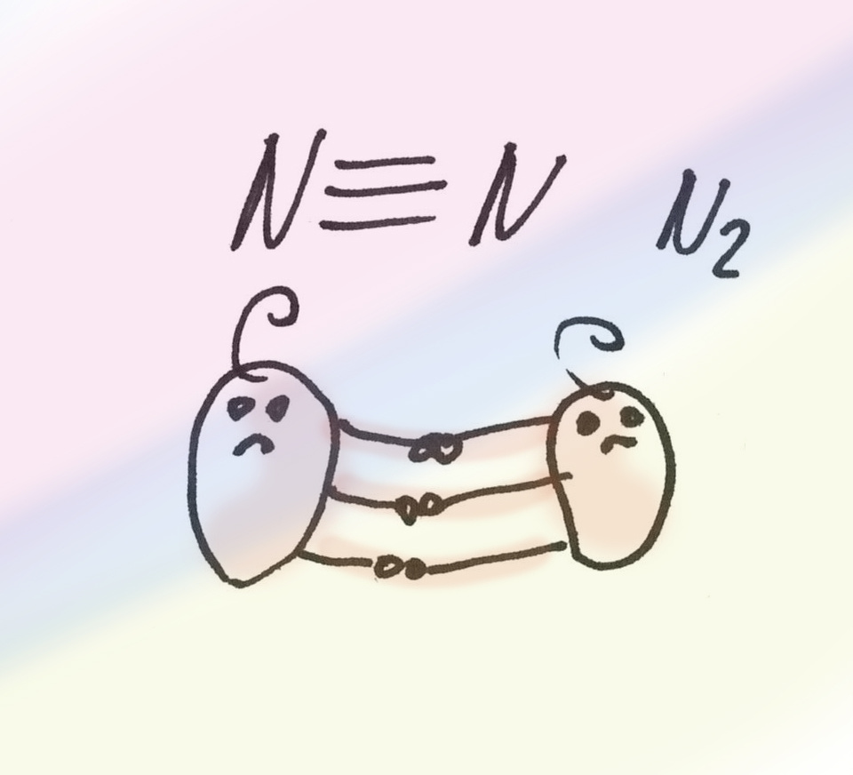 В молекуле газообразного азота два атома связаны тройной, очень прочной связью