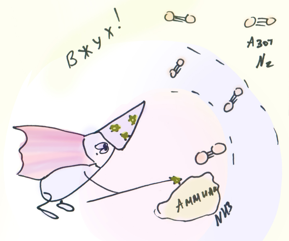 Денитрификаторы превращают аммиак в молекулярный азот