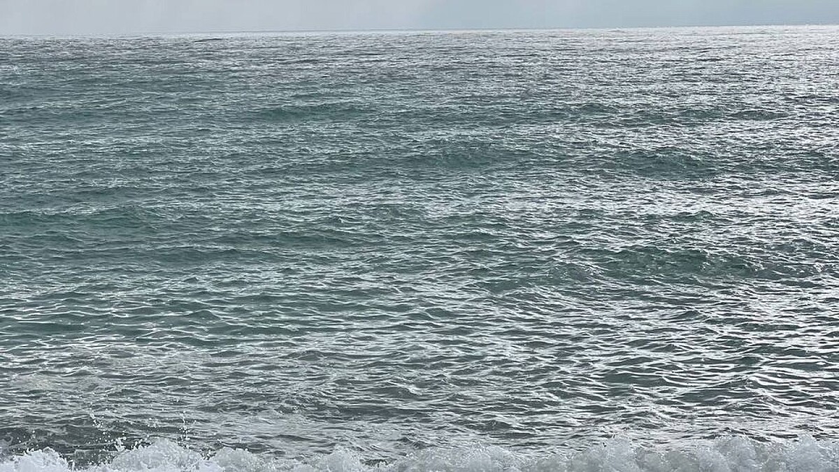    Фото: телеканал «Краснодар»