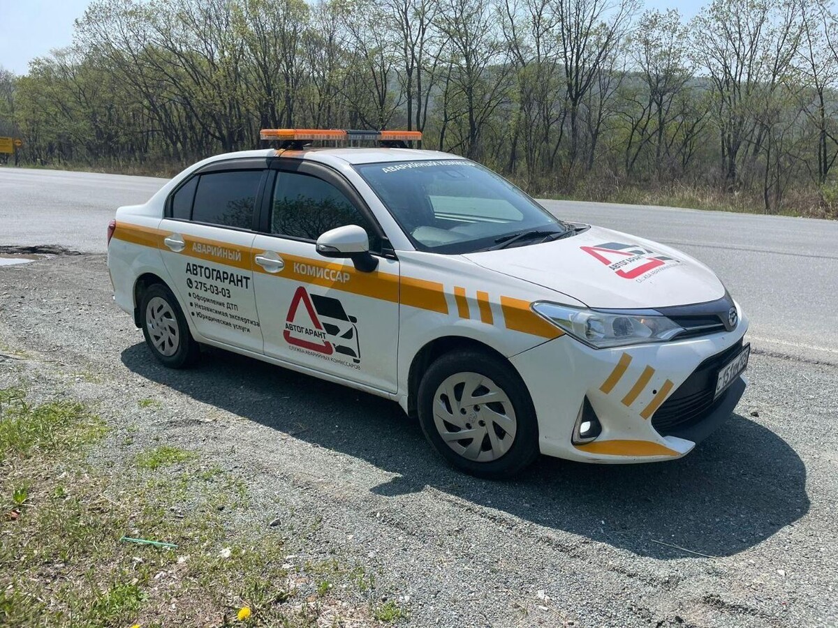     Источник: DPS VL