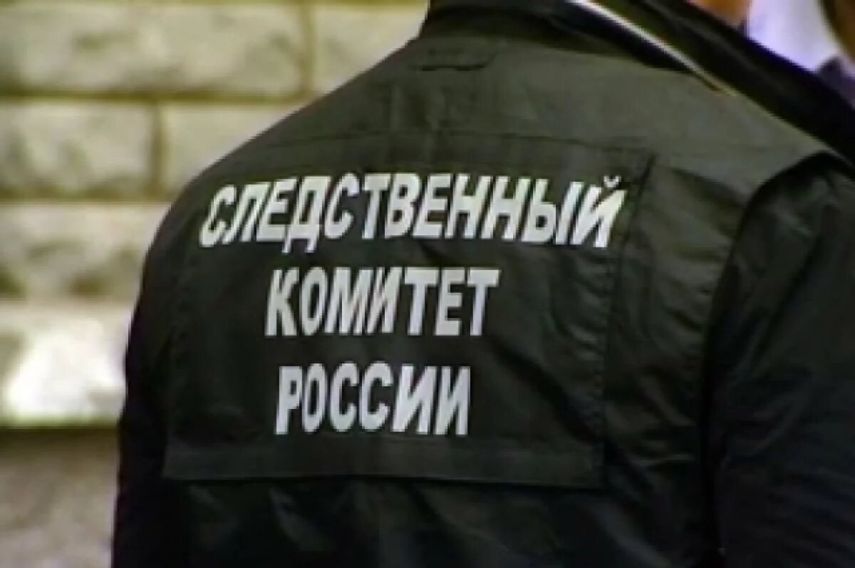    В Ленинградской области трехлетняя девочка умерла после посещения кафе