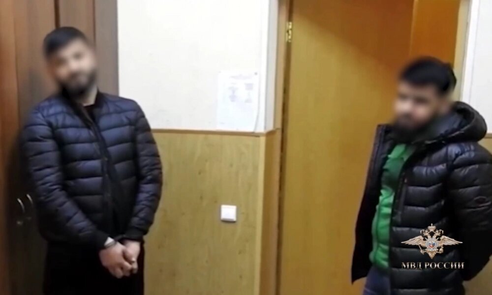    Фото: Пресс-служба ГУ МВД России по Петербургу и Ленобласти/ скриншот видео