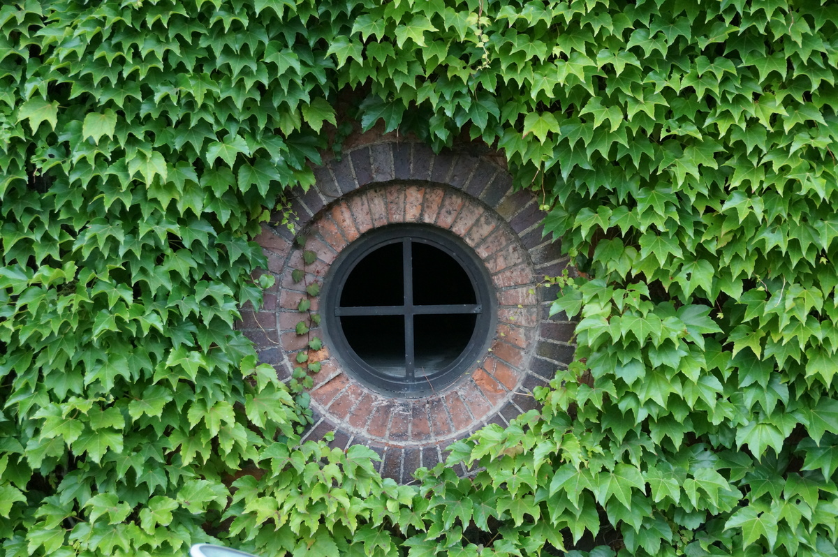 Саппоро, 2018