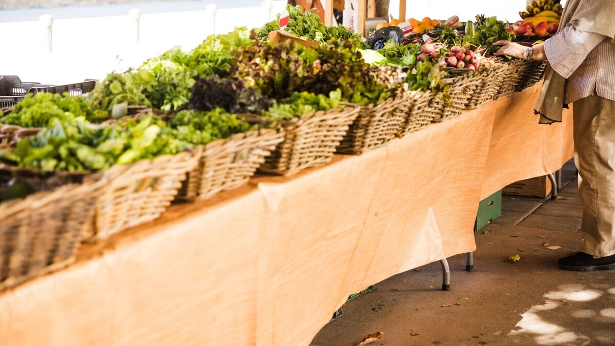     Источник: freepik.com