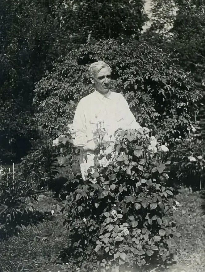 Николай Петрович Ракицкий