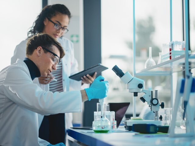    Фото: 123RF/gorodenkoff