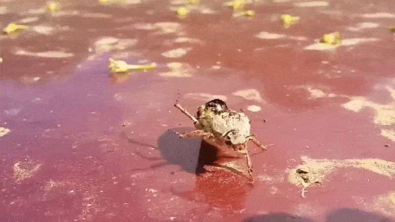 Нравится Формат? Поддержи Канал Лайком и напиши какой эпизод понравился больше всех
