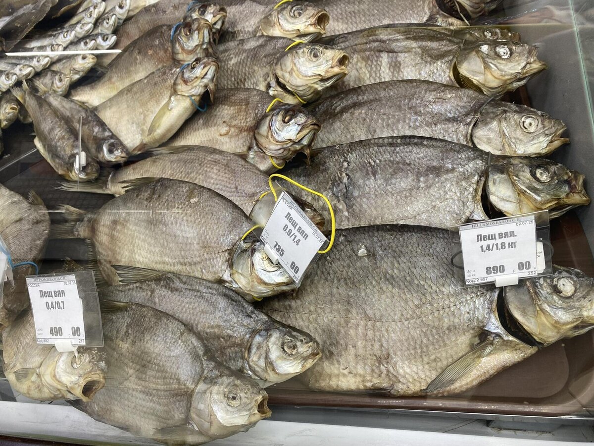 Цимлянские лещи. Фото автора