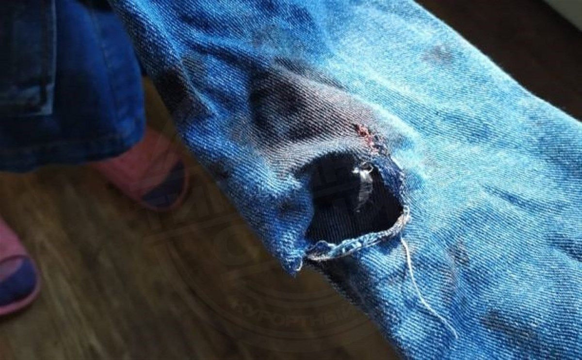    Фото: тг-канал «Типичный Сочи»