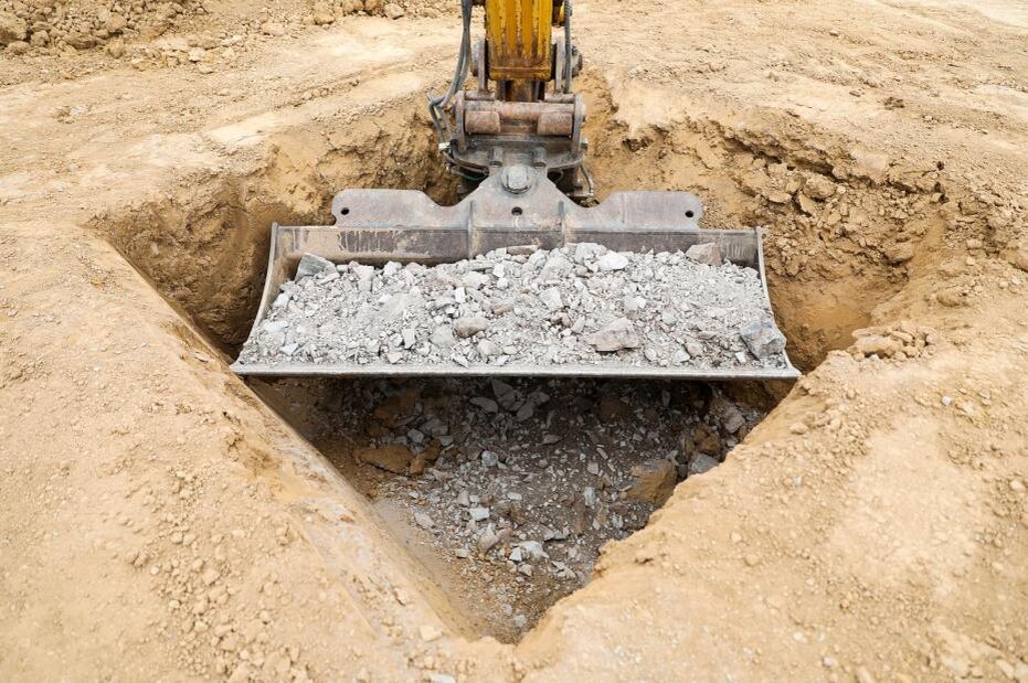    Jan Woitas/dpa/Global Look Press