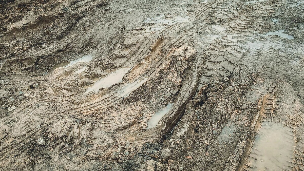     Источник: 1MI