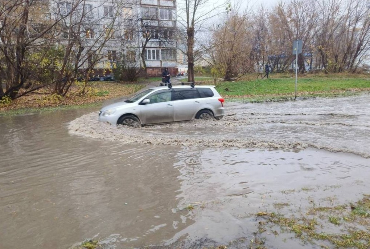    Фото: "Прецедент"