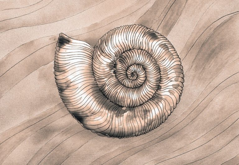    pixabay.com\N-region Екатерина Шахнина