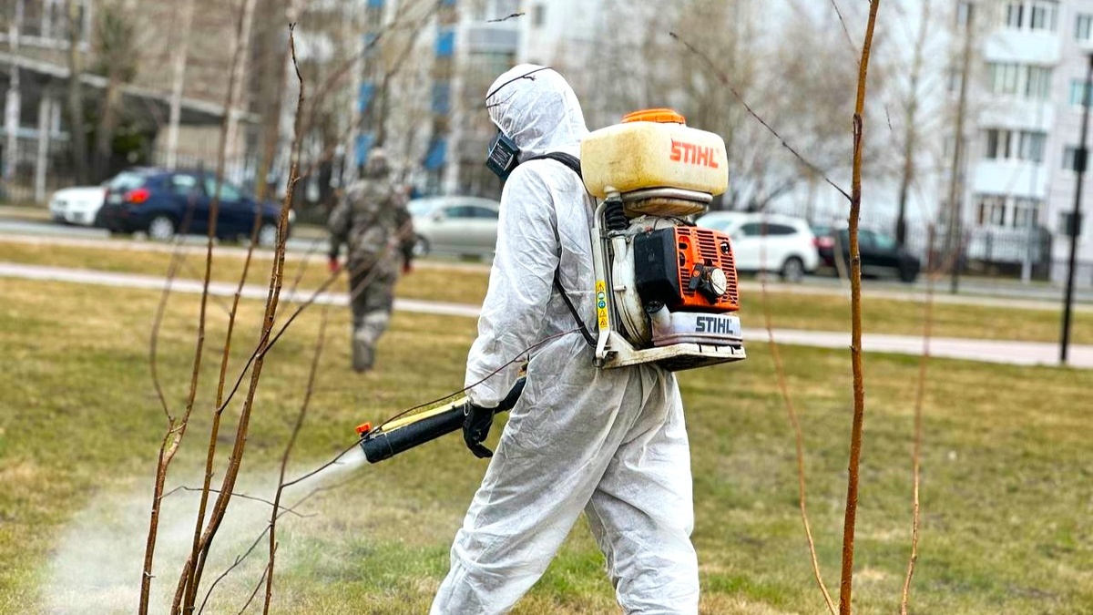    В Сургуте начали акарицидную обработку территории