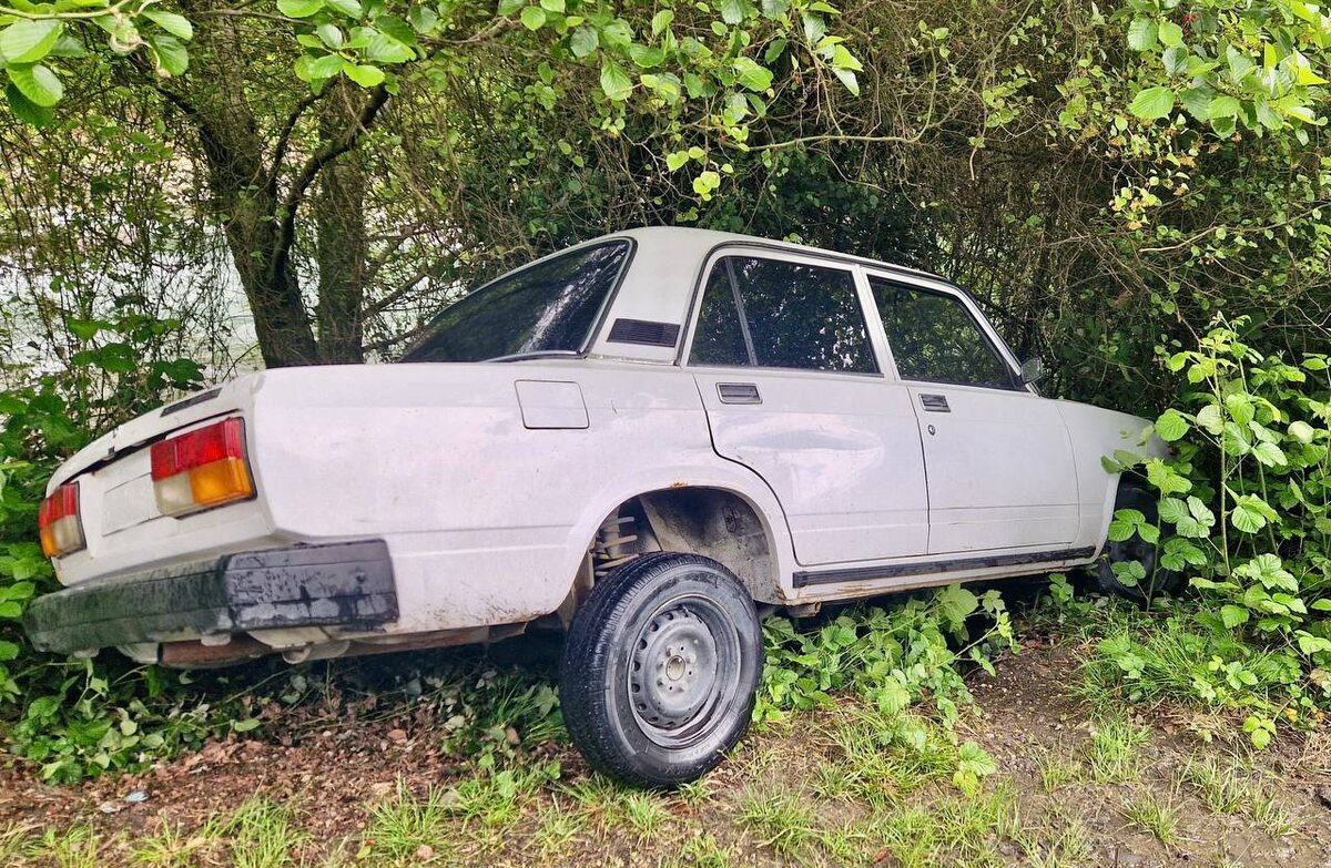    Фото: пресс-служба полиции Сочи