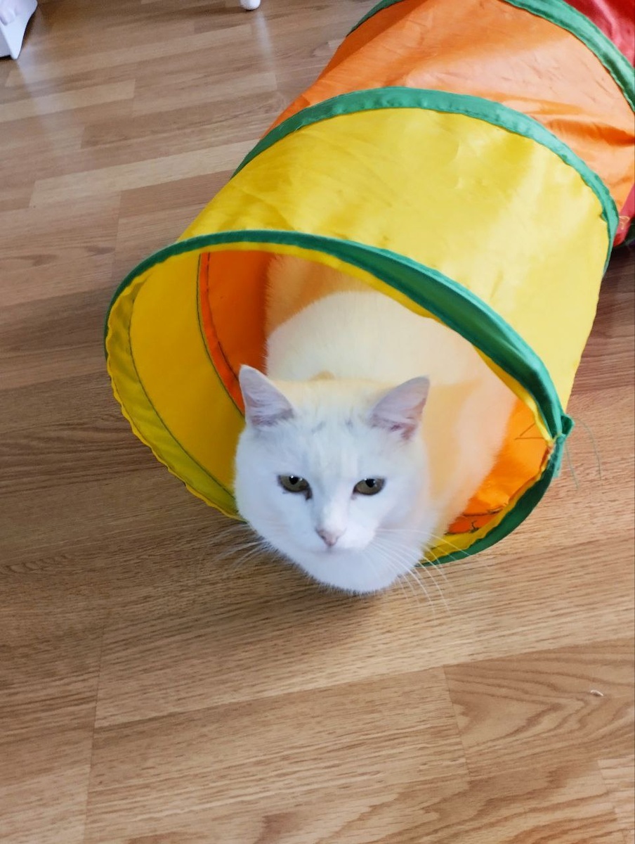 Белоснежка