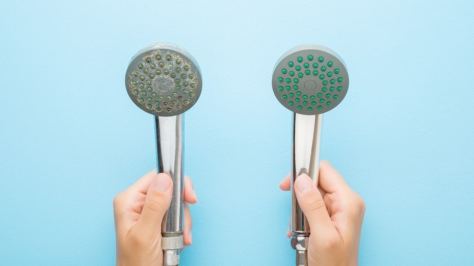 ShutterStock/Fotodom.ru