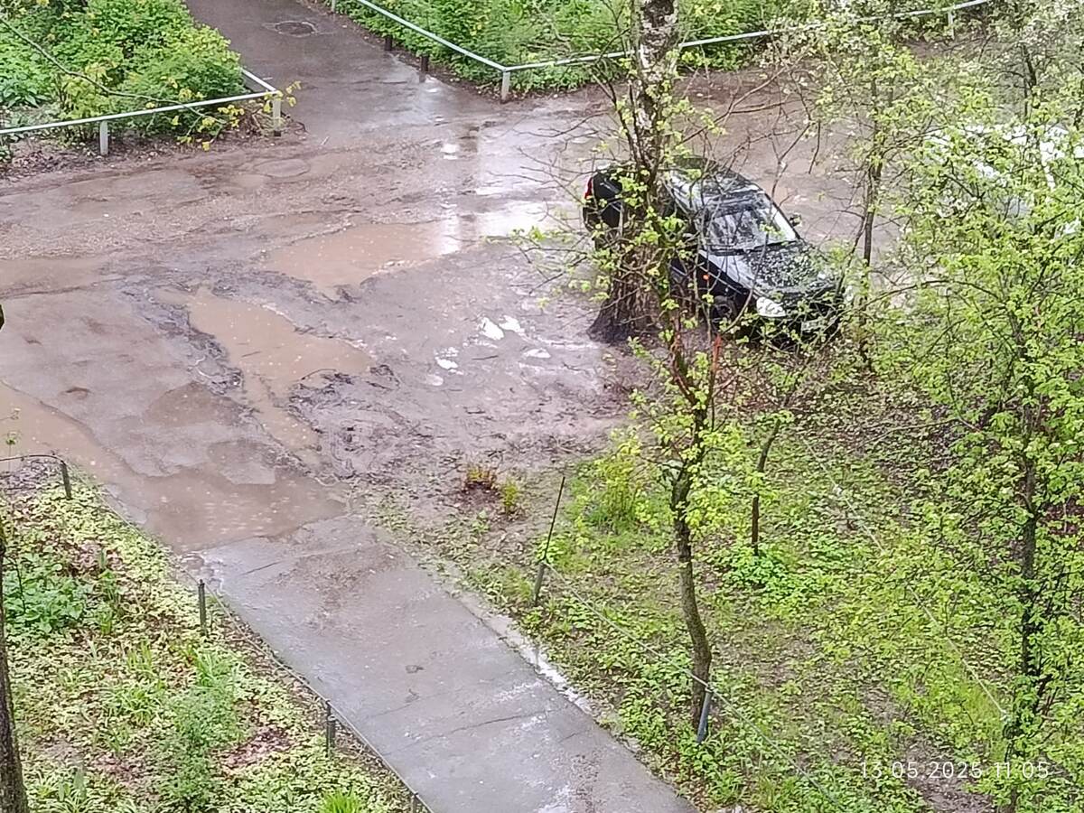 Дата фото 13 мая 2025 год