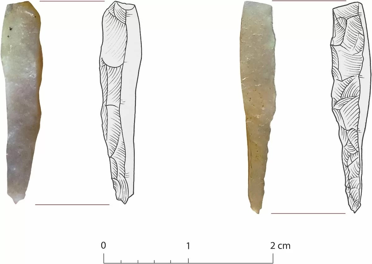 Инструменты для татуировки майя, обнаруженные в Белизе.
