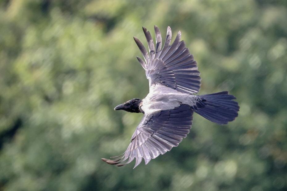    Сергей Булкин/NEWS.ru