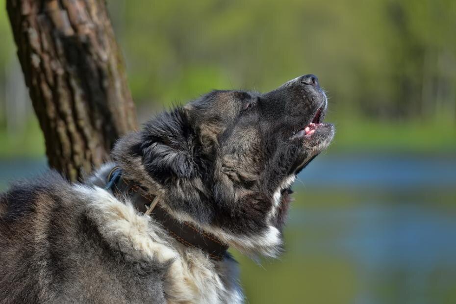    Shutterstock/FOTODOM