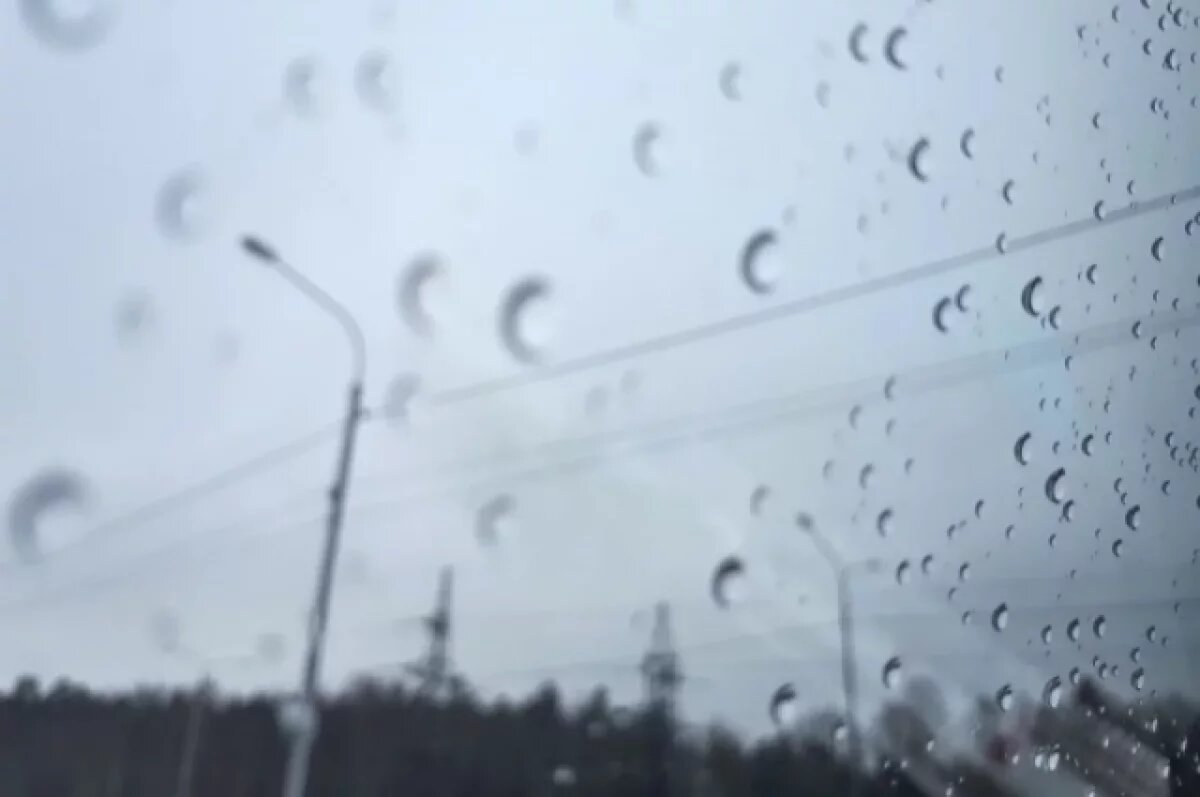    На Тверскую область надвигается сильный ливень