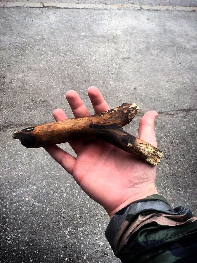 Фото с просторов всемирной паутины.