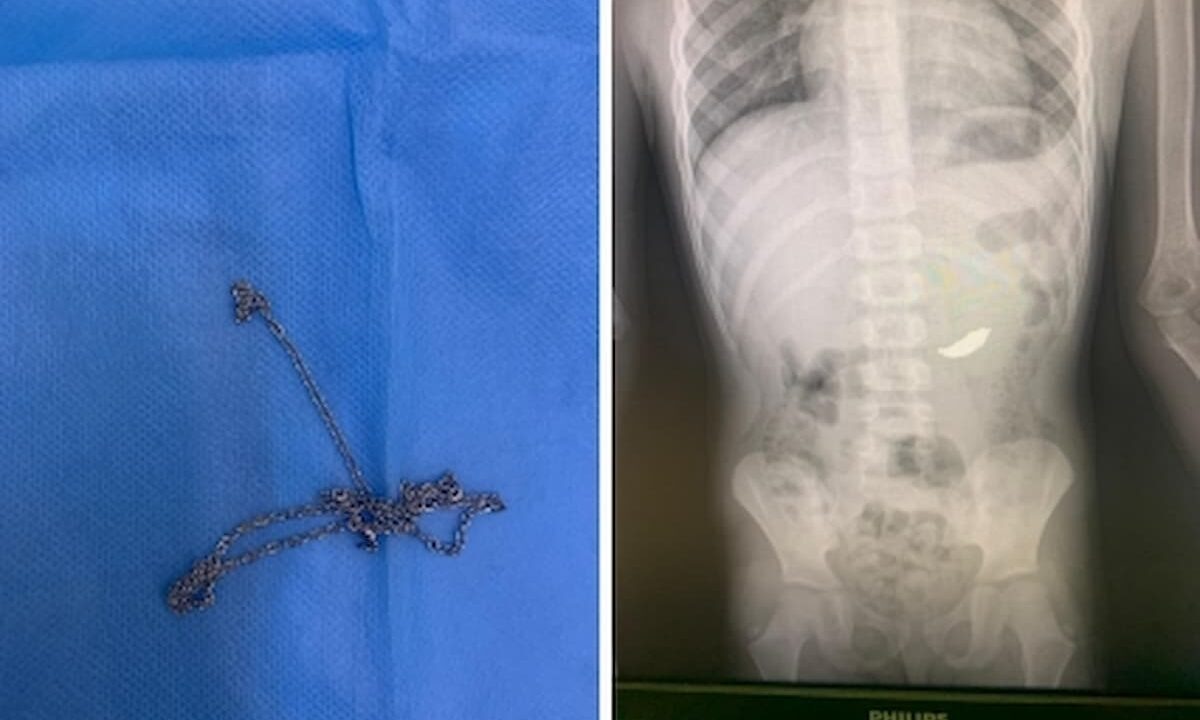    Фото t.me/tuapsevesti