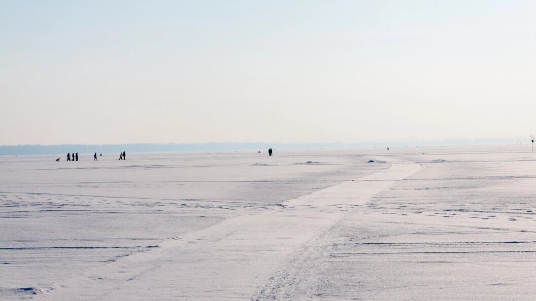    Фото: Svetlana Vozmilova/Global Look Press