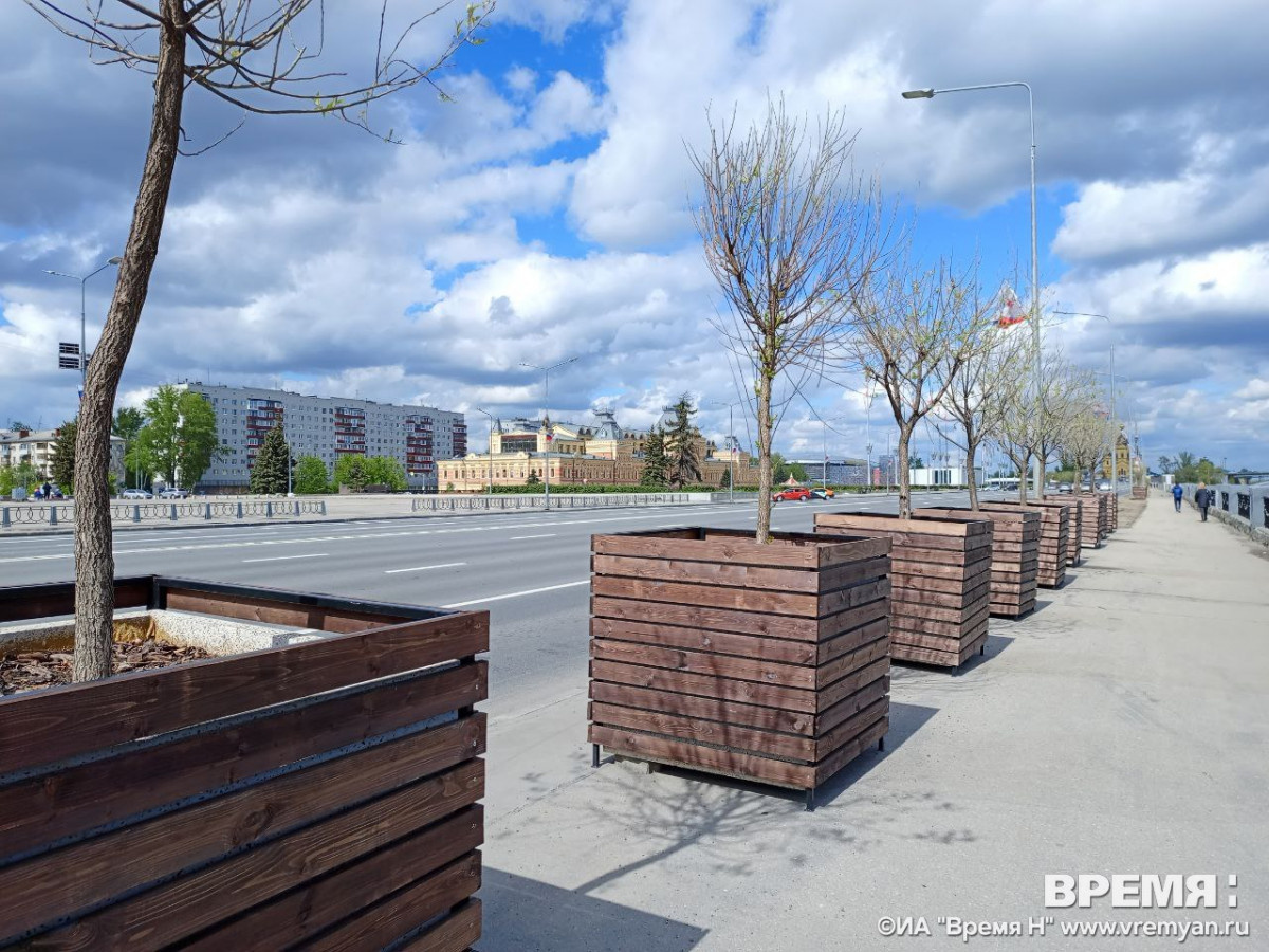    На улице Советской разместили 20 кадок с ивами вдоль прогулочной зоны