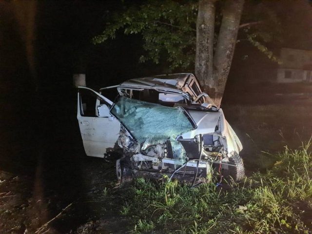     Фото предоставлено пресс-службой ГУ МВД и СУ СК по Воронежской области