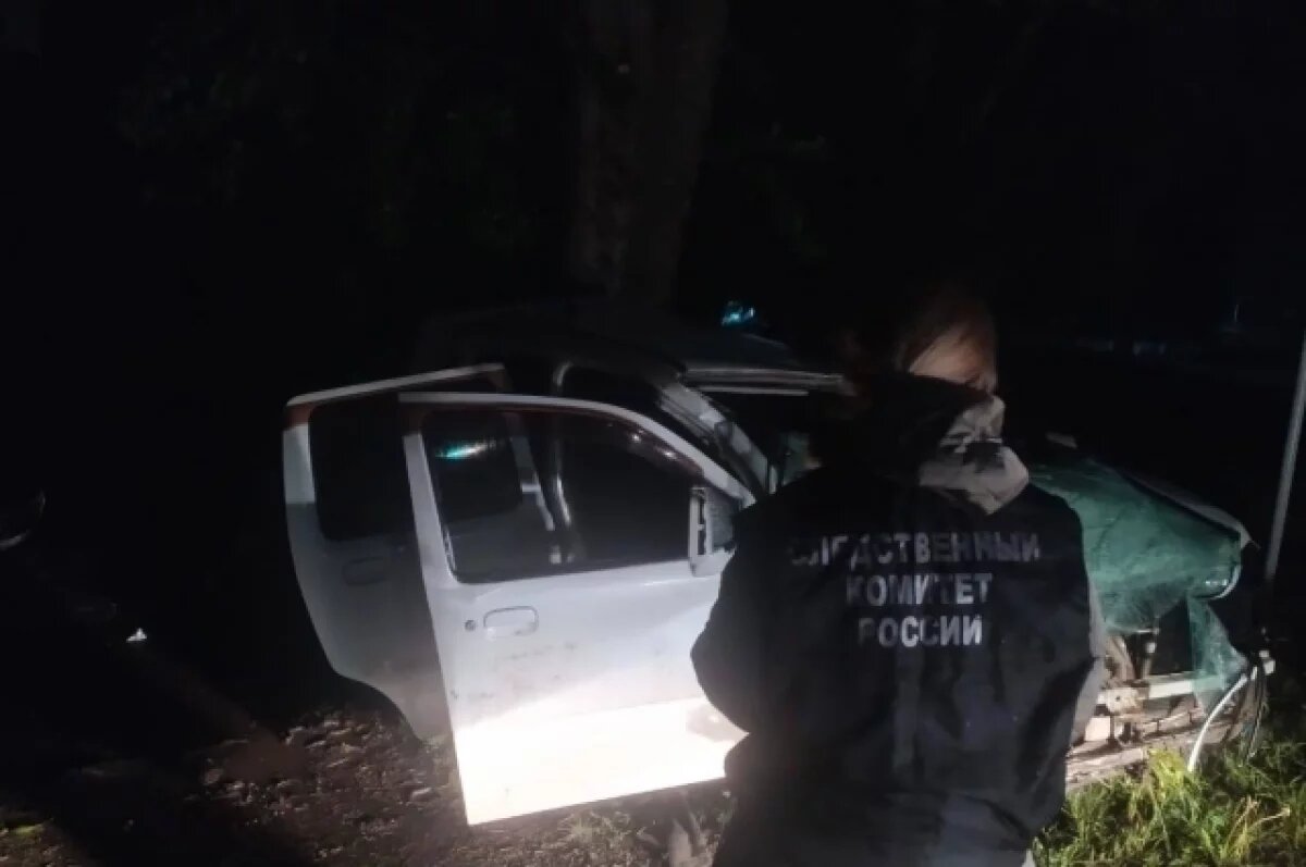    Гибель ребёнка в пьяном ДТП в Воронежской области привела к уголовному делу