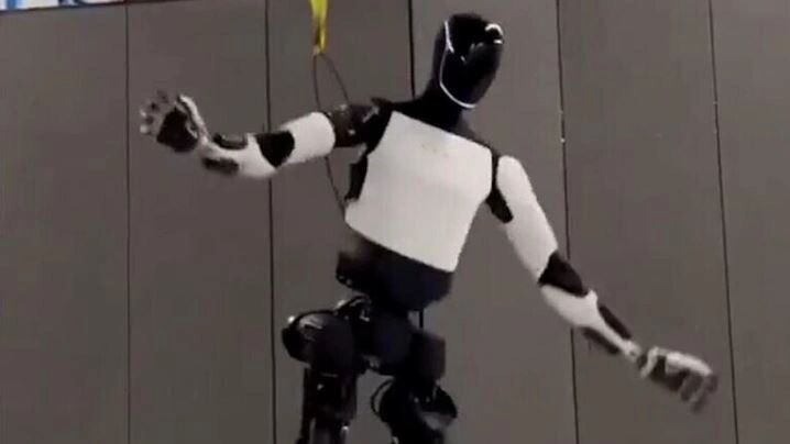    Фото: x.com/elonmusk