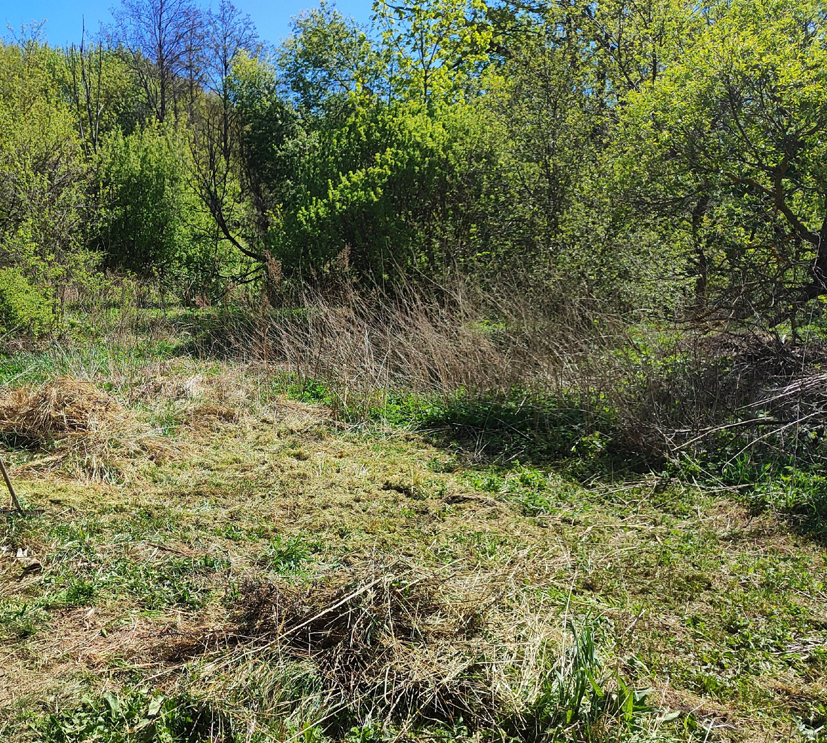 кошу, собираю траву старую и крапиву сухую