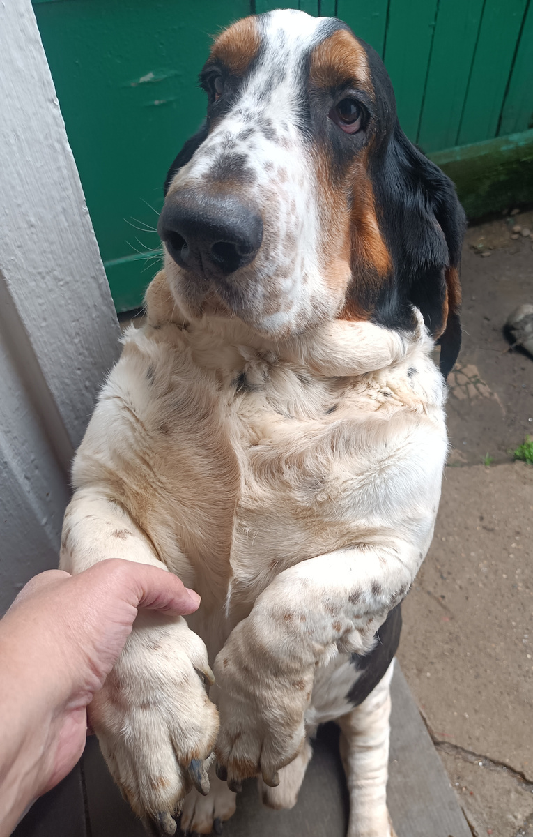 Не хочет выпускать меня из дома