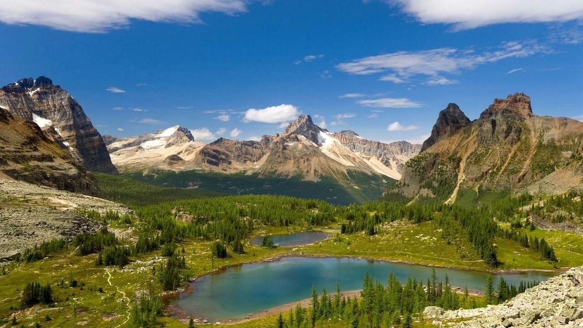 Это наслаждение не связано с утилитарной целью оно само по себе является ценным.