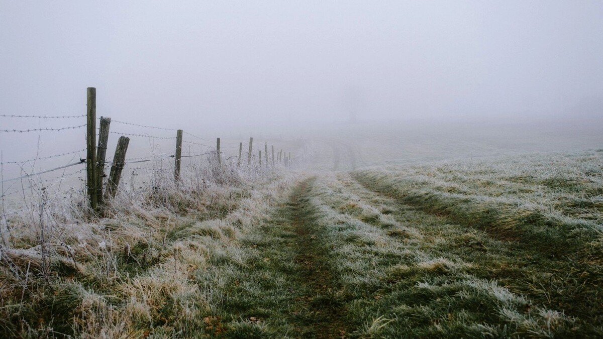     Автор: Unsplash