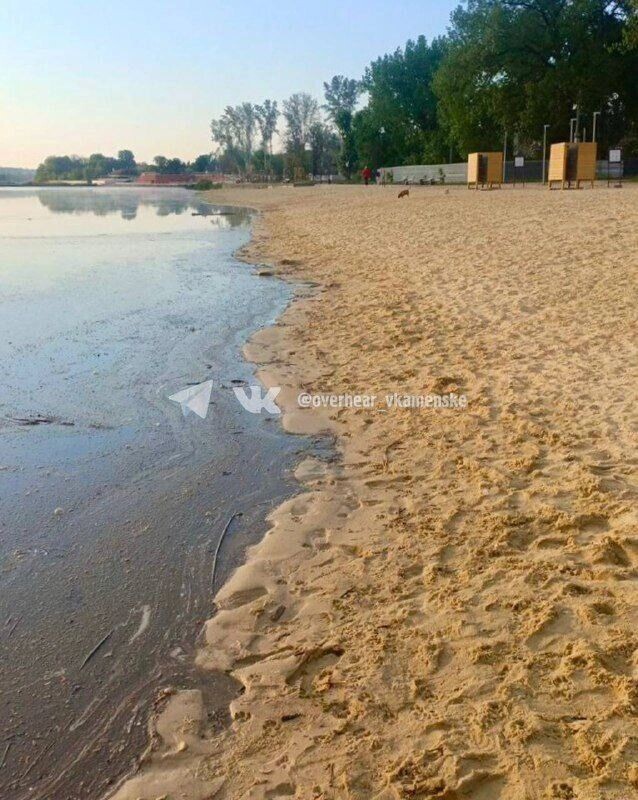     Автор: ТГ "Подслушано в Каменске"