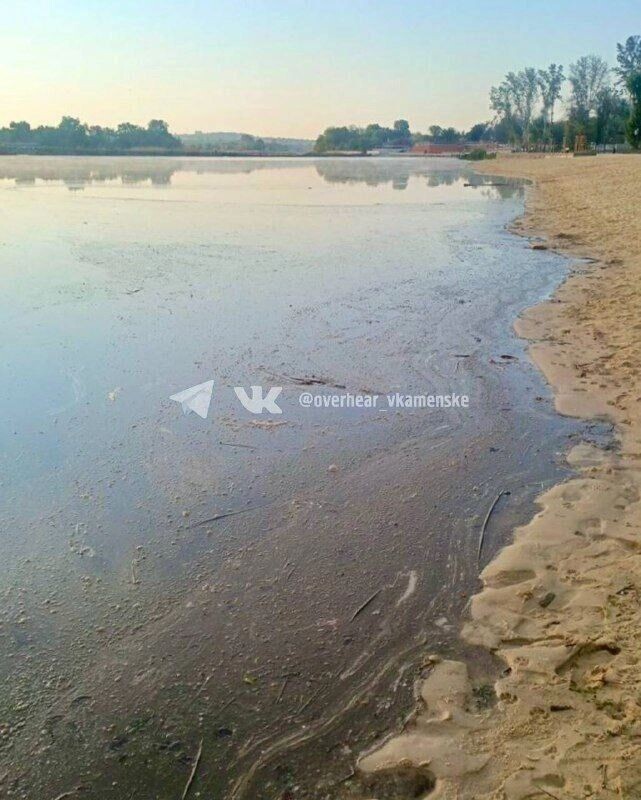     Автор: ТГ «Подслушано в Каменске»