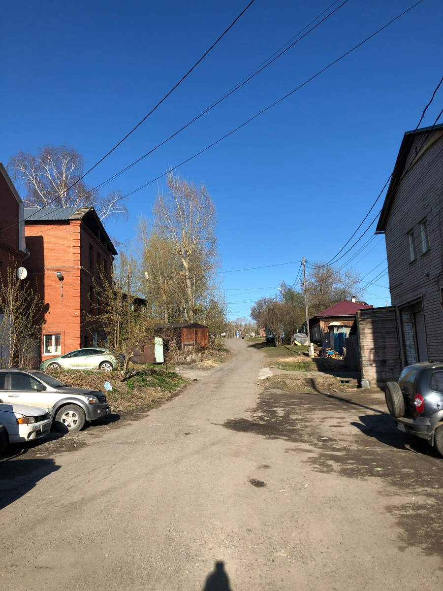 Недалеко от Михайловской рощи