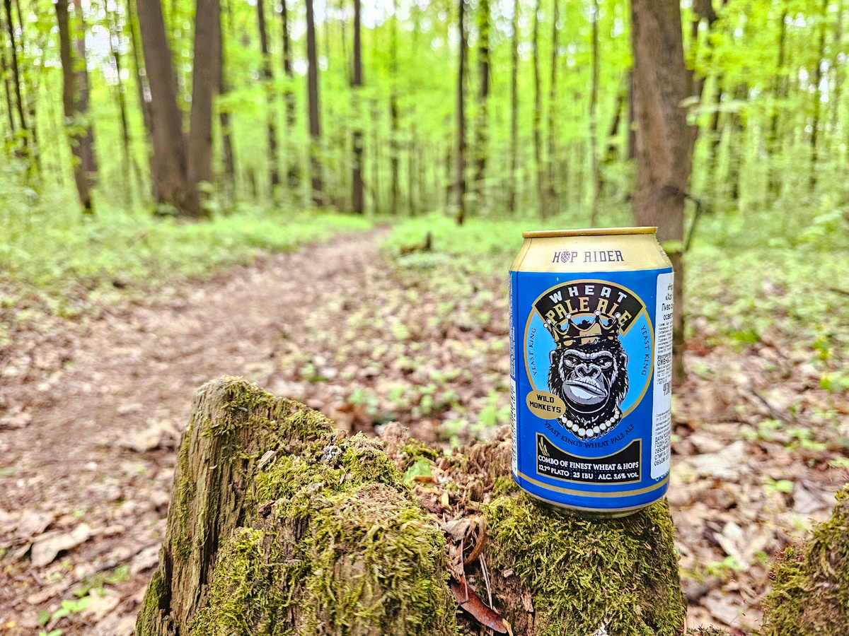 Hop Rider Wheat Pale Ale, фото автора