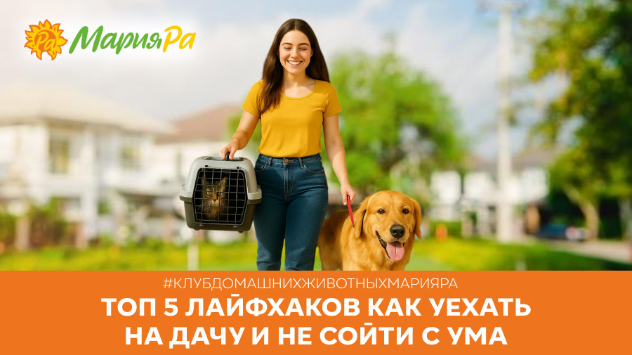 #КлубДомашнихЖивотныхМарияРа
